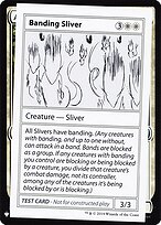 Banding Sliver