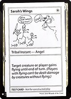 Sarah's Wings