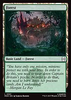 Forest