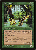 River Boa