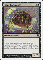 Giant Cockroach