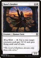 Blastoderm