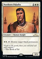 Northern Paladin