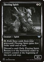 Fleeting Spirit