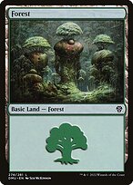 Forest
