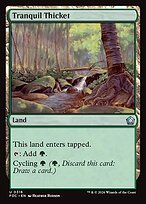 Tranquil Thicket
