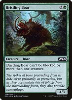 Bristling Boar