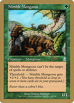 Nimble Mongoose
