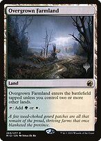 Overgrown Farmland